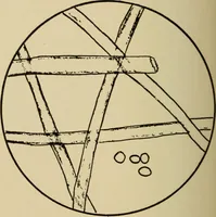 An illustration from Study of fabrics (1918)