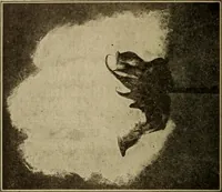 An illustration from Study of fabrics (1918)