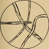 An illustration from Study of fabrics (1918)