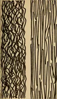 Picture 9 of 26 from Study of fabrics (1918), leaf 54