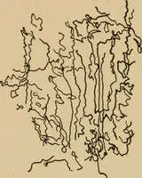 An illustration from Study of fabrics (1918)