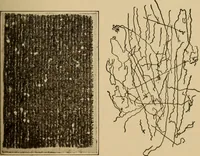 An illustration from Study of fabrics (1918)