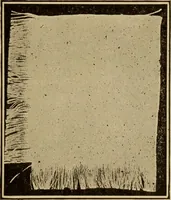 An illustration from Study of fabrics (1918)