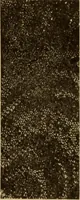 An illustration from Study of fabrics (1918)