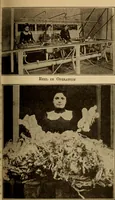 Picture 18 of 26 from Study of fabrics (1918), leaf 84