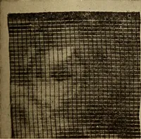 An illustration from Study of fabrics (1918)