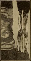 Picture 22 of 26 from Study of fabrics (1918), leaf 98