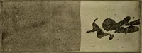 An illustration from Study of fabrics (1918)