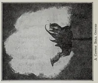 An illustration from Study of fabrics (1918)