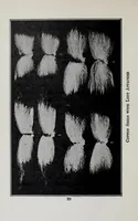An illustration from Study of fabrics (1918)
