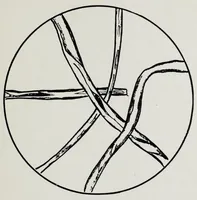 An illustration from Study of fabrics (1918)
