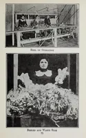 Picture 13 of 19 from Study of fabrics (1918), leaf 85