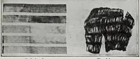An illustration from Study of fabrics (1918)