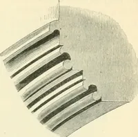 An illustration from An introduction to the study of Gothic architecture (1900)