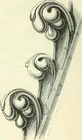 An illustration from An introduction to the study of Gothic architecture (1900)