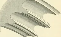 An illustration from An introduction to the study of Gothic architecture (1900)