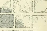 An illustration from An introduction to the study of Gothic architecture (1900)