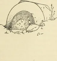 An illustration from A study of the houses of the American aborigines; with suggestions for the exploration of the ruins in New Mexico, Arizona, the valley of the San Juan, and in Yucatan and Central America, under the auspices of the Archæological institute (1880)