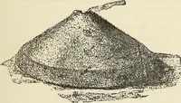 An illustration from A study of the houses of the American aborigines; with suggestions for the exploration of the ruins in New Mexico, Arizona, the valley of the San Juan, and in Yucatan and Central America, under the auspices of the Archæological institute (1880)