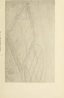 An illustration from A study of the houses of the American aborigines; with suggestions for the exploration of the ruins in New Mexico, Arizona, the valley of the San Juan, and in Yucatan and Central America, under the auspices of the Archæological institute (1880)