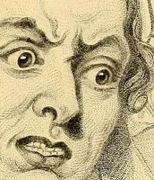 An illustration from The study of the human face (1865)