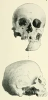 An illustration from The study of man (1908)