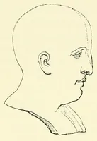 An illustration from The study of man (1908)