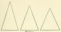 An illustration from The study of man (1908)