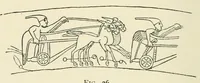 An illustration from The study of man (1908)