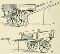An illustration from The study of man (1908)