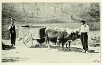 An illustration from The study of man (1908)