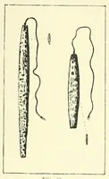 An illustration from The study of man (1908)