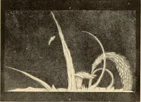An illustration from A study of the sky (1896)