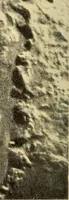 An illustration from A study of the sky (1896)