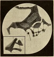 An illustration from A study of the sky (1896)