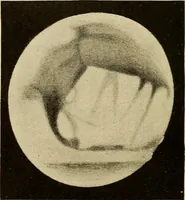 An illustration from A study of the sky (1896)