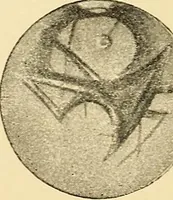 An illustration from A study of the sky (1896)