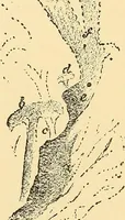An illustration from A study of the sky (1896)