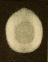 An illustration from A study of the sky (1896)