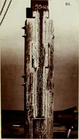 Picture 2 of 21 from A study of spliced wooden tie-beams (1906), leaf 46