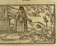 An illustration from Stultifera nauis mortalium, : in qua fatui affectus, mores conatus atque studia, quibus uita hæc nostra, in omni hominum genere, scatet, cunctis sapientiæ cultoribus depinguntur, [et] uelut in speculo ob oculos ponuntur. ... (1572)