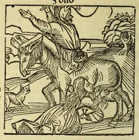 Picture 16 of 60 from Stultifera nauis : Narrago[n]ie profectionis nunq[uam] satis laudata nauis, leaf 100