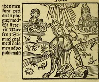 An illustration from Stultifera nauis : Narrago[n]ie profectionis nunq[uam] satis laudata nauis