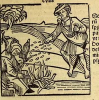 Picture 49 of 60 from Stultifera nauis : Narrago[n]ie profectionis nunq[uam] satis laudata nauis, leaf 223