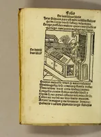 Picture 2 of 60 from Stultifera nauis : Narrago[n]ie profectionis nunq[uam] satis laudata nauis, leaf 30
