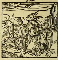 Picture 11 of 60 from Stultifera nauis : Narrago[n]ie profectionis nunq[uam] satis laudata nauis, leaf 82