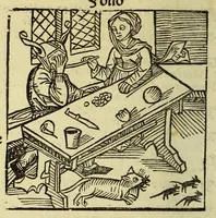 Picture 14 of 60 from Stultifera nauis : Narrago[n]ie profectionis nunq[uam] satis laudata nauis, leaf 96