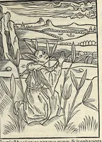 Picture 4 of 12 from Stultifera nauis : Narragonice p[ro]fect[i]onis nunq[uam] satis laudata nauis:, leaf 81