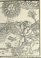 Picture 5 of 12 from Stultifera nauis : Narragonice p[ro]fect[i]onis nunq[uam] satis laudata nauis:, leaf 85