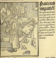 An illustration from Stultifera nauis : Narragonice p[ro]fect[i]onis nunq[uam] satis laudata nauis: